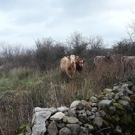 Σπίτι διακοπών Marsh F91 N4a9