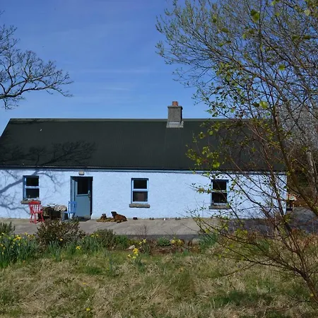 Marsh F91 N4a9 * Moneygold