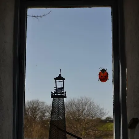 Marsh F91 N4a9 Σπίτι διακοπών Moneygold