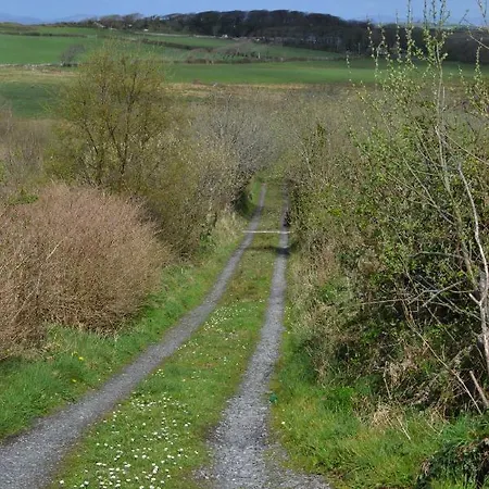 Feriehus Marsh F91 N4a9 Moneygold