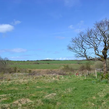 Marsh F91 N4a9 * Moneygold