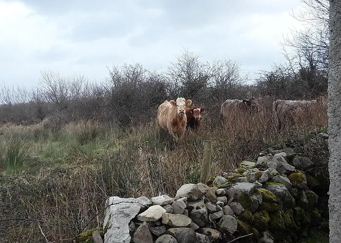 Dom wakacyjny Marsh F91 N4a9