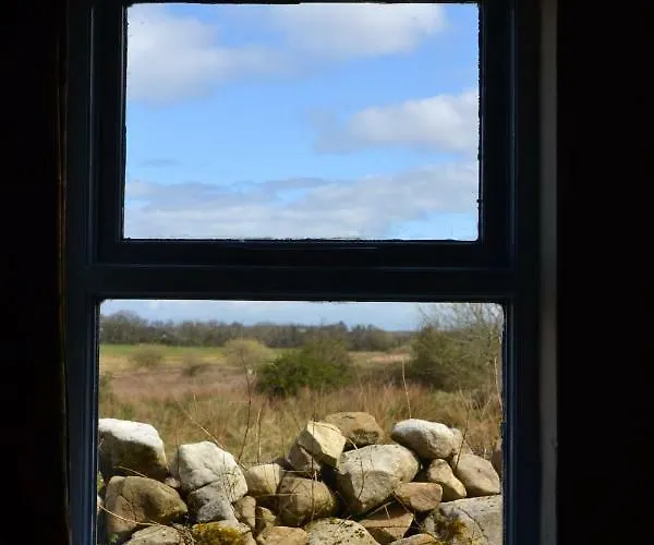 Marsh F91 N4a9 別荘 Moneygold