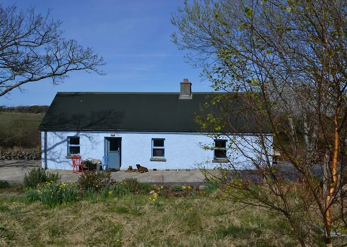 Marsh F91 N4a9 * Moneygold