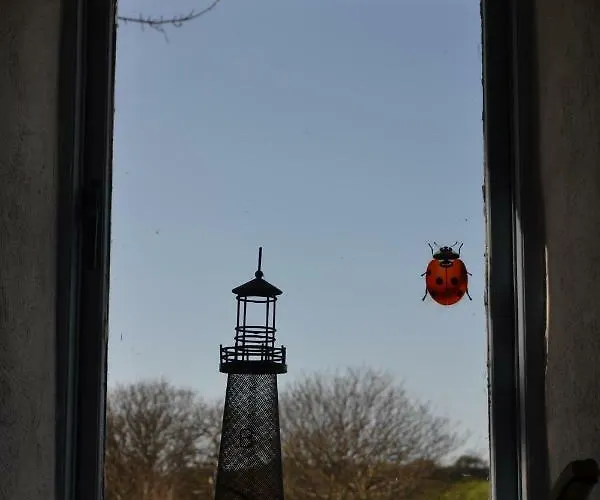 Marsh F91 N4a9 Dom wakacyjny Moneygold