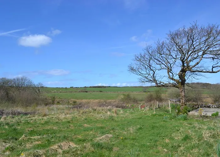 Marsh F91 N4a9 * Moneygold